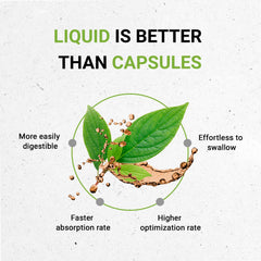 Secrets of the Tribe Oregon Grape dried root packaging showing responsibly sourced ingredients