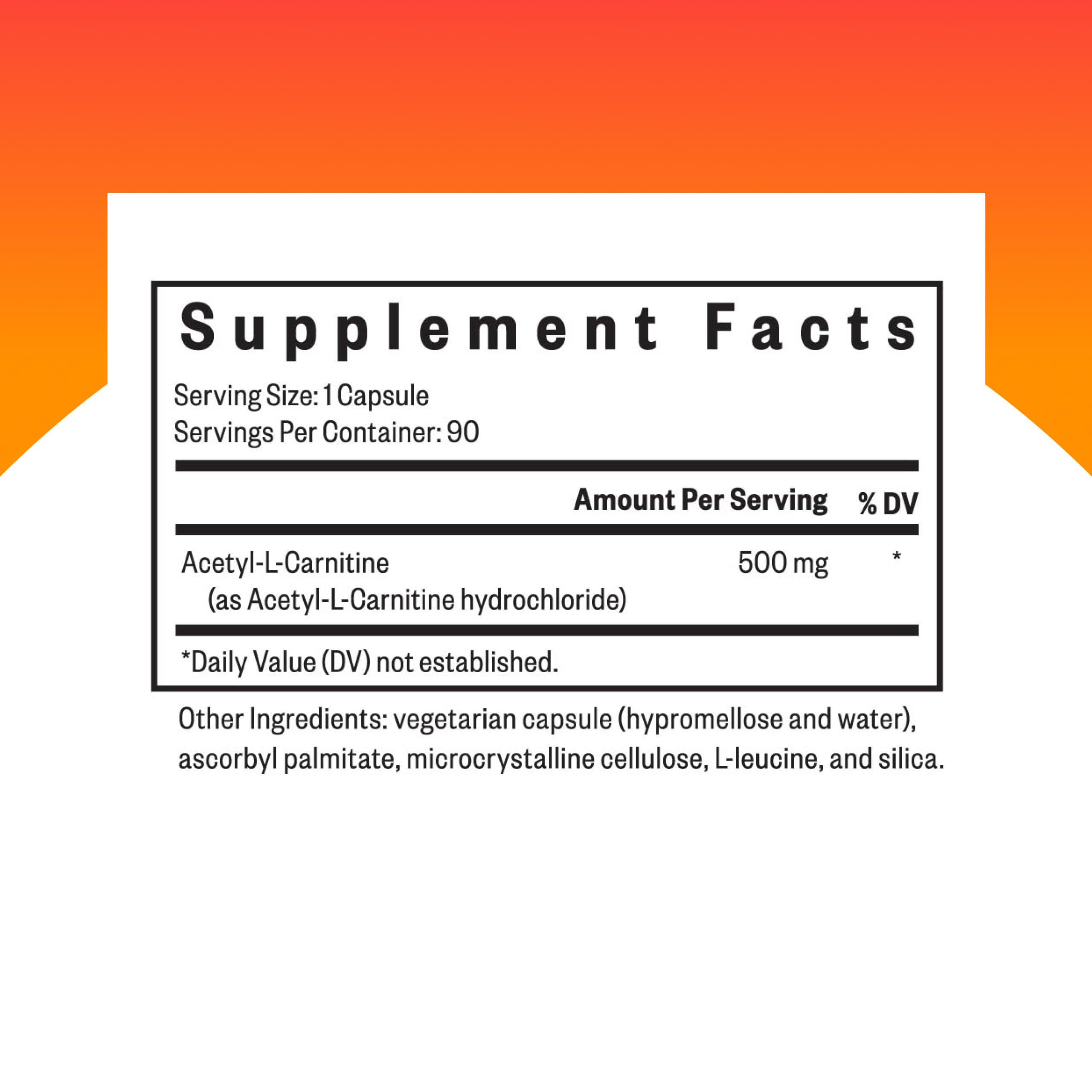 Seeking Health Acetyl-L-Carnitine capsules close-up; brain health potential