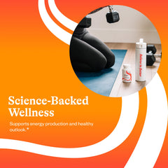 Seeking Health B-Minus packaging shot emphasizing allergen-friendly design.