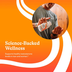 Seeking Health Testosterone Nutrients micronized DHEA visual shows key ingredient.
