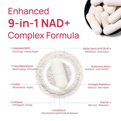 Selerb NAD+ packaging box conveys premium quality and safety.
