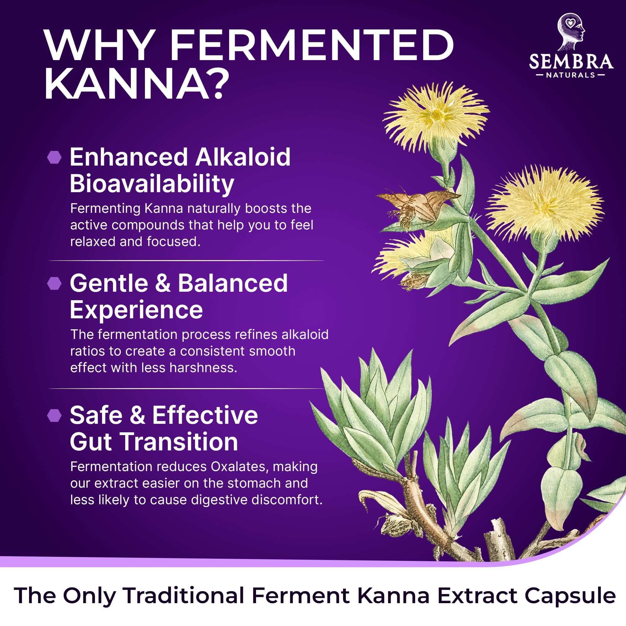 Fermented kanna extract badge illustrating 50 mg per serving.