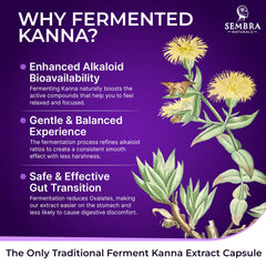 Fermented kanna extract badge illustrating 50 mg per serving.