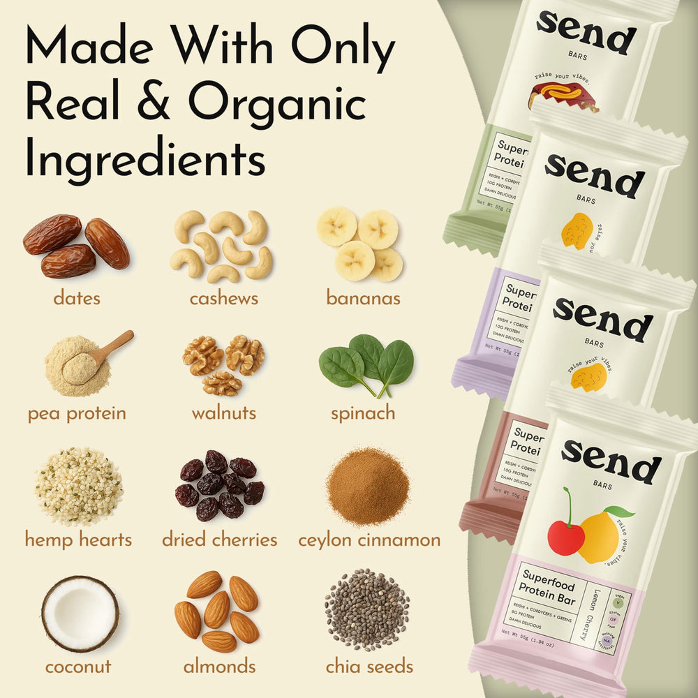 Send Bars peanut butter bar close-up resembling a creamy, satisfying snack
