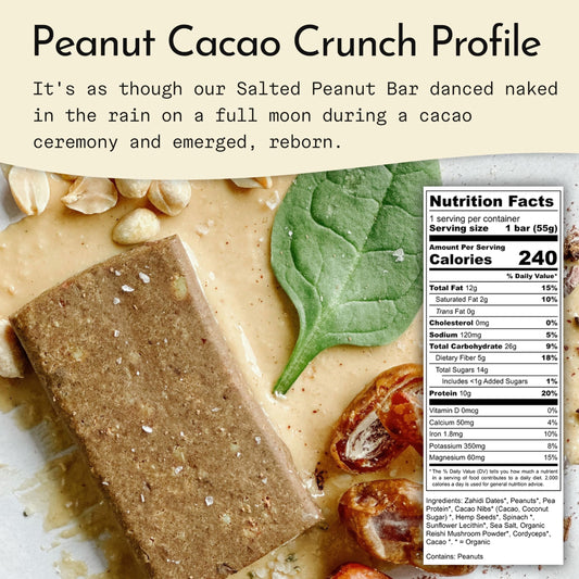 Send Bars Peanut Cacao Crunch close-up highlights cacao nibs and spinach greens for plant-powered energy.