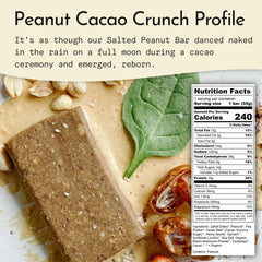 Send Bars Peanut Cacao Crunch close-up highlights cacao nibs and spinach greens for plant-powered energy.