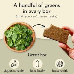 Send Bars peanut cacao crunch bar close-up with chocolatey texture