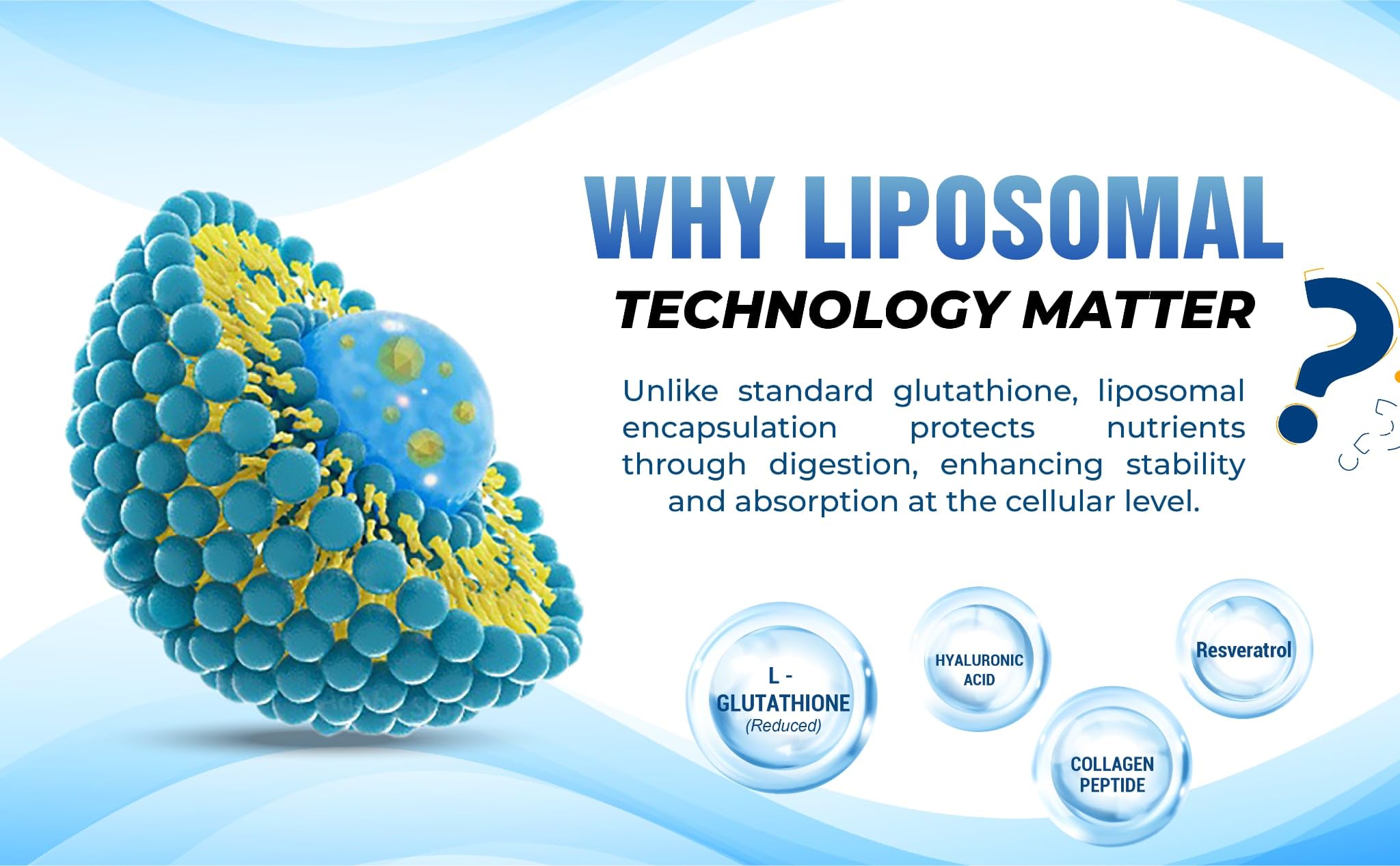 Visual of key ingredients like collagen and hyaluronic acid