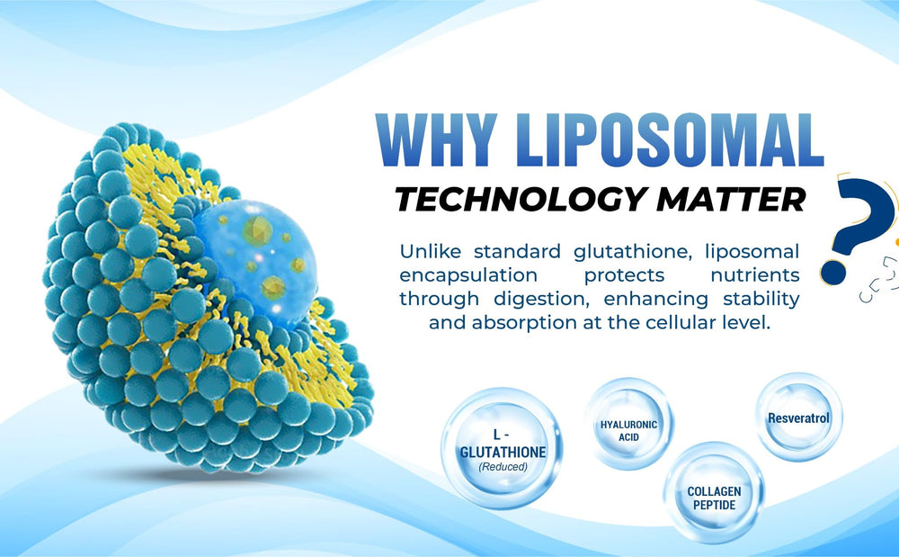 Visual of key ingredients like collagen and hyaluronic acid