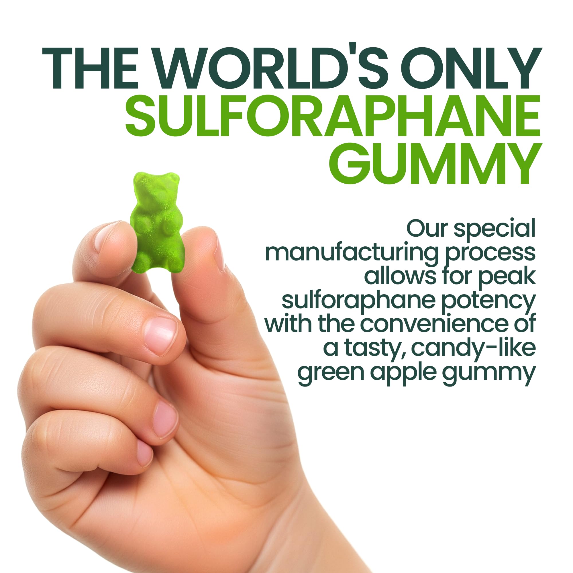 Sensory Scout NeuroBrocc gummies ingredients-label highlights broccoli sprout and seed extract benefits