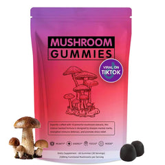 Seodon 60-count bottle of mushroom gummies with Lions Mane, for daily energy and focus.