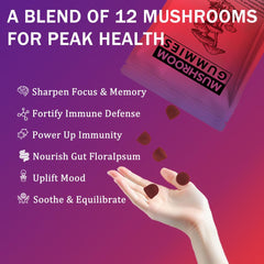 Packaging display of Seodon mushroom gummies for on-the-go wellness.