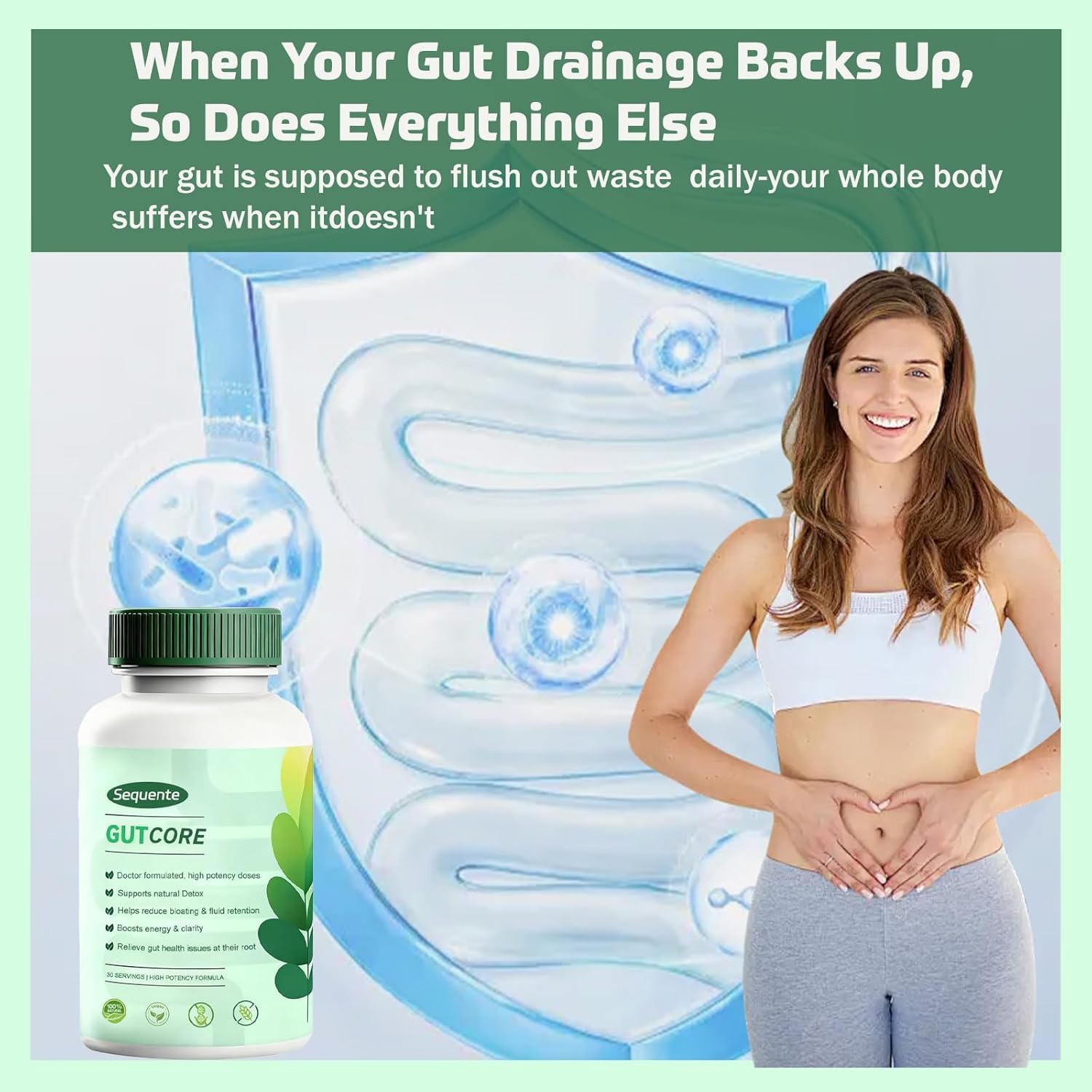 Sequente GutCore ingredients spread featuring fennel, ginger, and inulin balance.