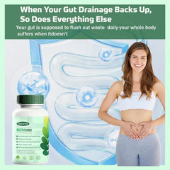 Sequente GutCore ingredients spread featuring fennel, ginger, and inulin balance.