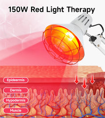 Serfory 150W red-light bulb delivers clear warmth for soothing daily relaxation.