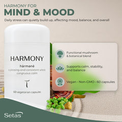 Setas Harmony eco-friendly packaging reflects sustainable product choices.