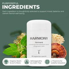 Pouring Setas Harmony capsules suggests an easy daily ritual for calm focus.