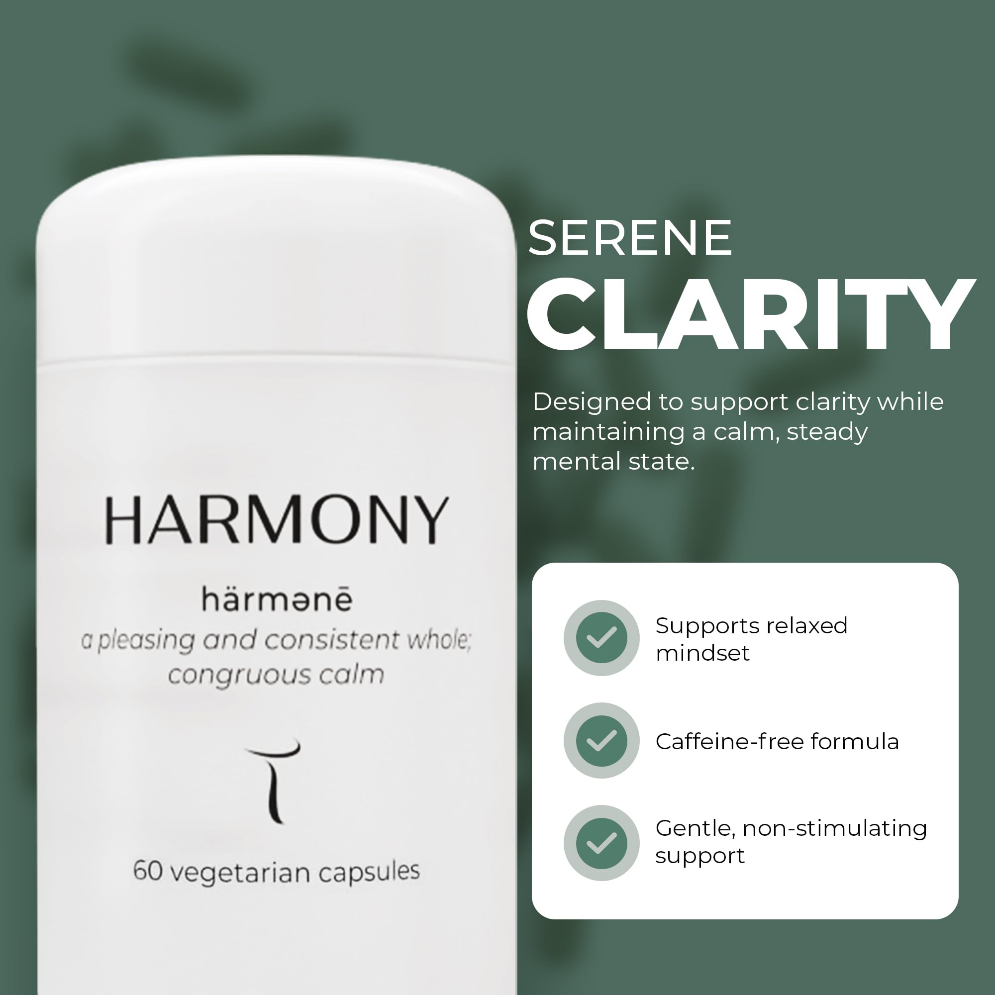 Setas Harmony morning routine scene shows steady resilience during busy days.