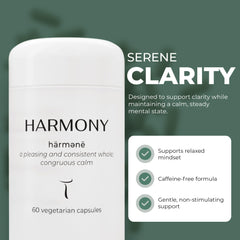 Setas Harmony morning routine scene shows steady resilience during busy days.