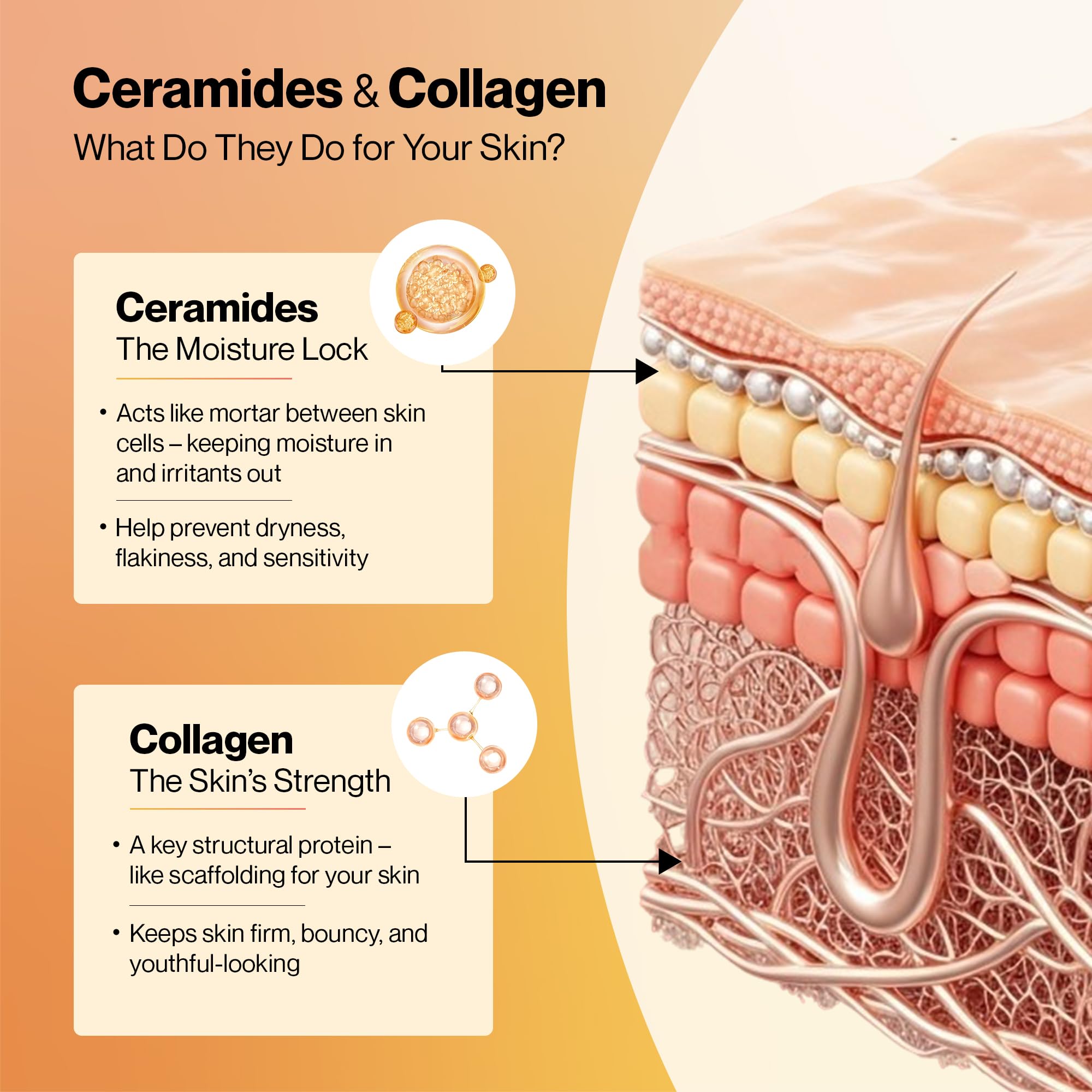 SETU Radiant Skin Combo ingredients close-up communicates clean, non-GMO formulation.