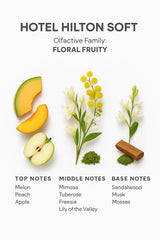 Diffuser-ready scent enhances home or office ambiance with SevenAromas.