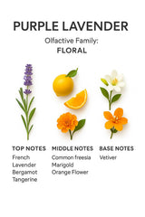 SevenAromas luxury scent enhances suites and spa areas.
