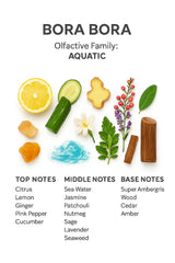 SevenAromas premium dropper bottle display enables precise scent dosing.