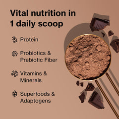 Shakeology Vanilla whey scoop shows convenient serving for on-the-go nutrition.