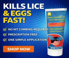 Shea Ivermectin Lice Treatment cream texture close-up indicates rich conditioning