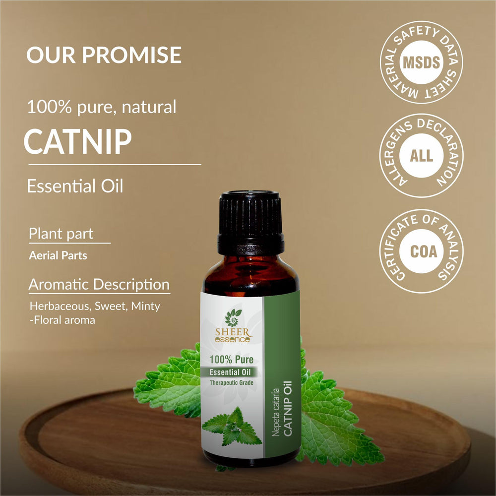 DIY blends with Sheer Essence catnip oil for personal fragrance ideas