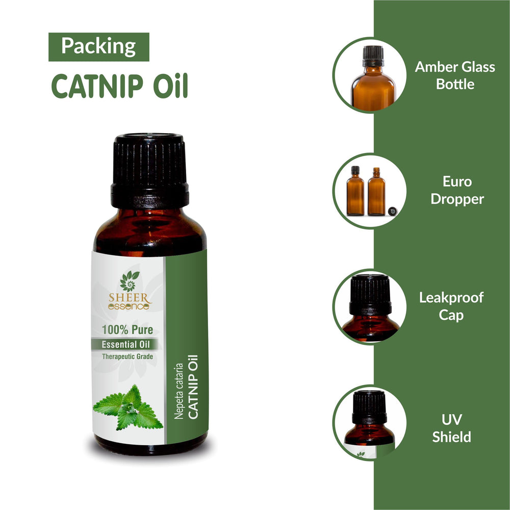 Packaging shot highlighting 4oz bottle and premium packaging