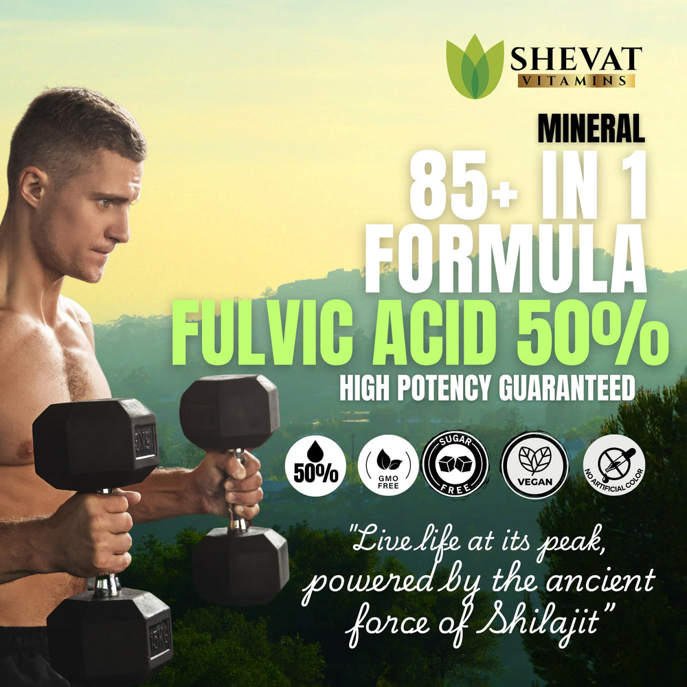 SHEVAT VITAMINS Shilajit with Fulvic Acid 500mg per serving highlights mineral absorption
