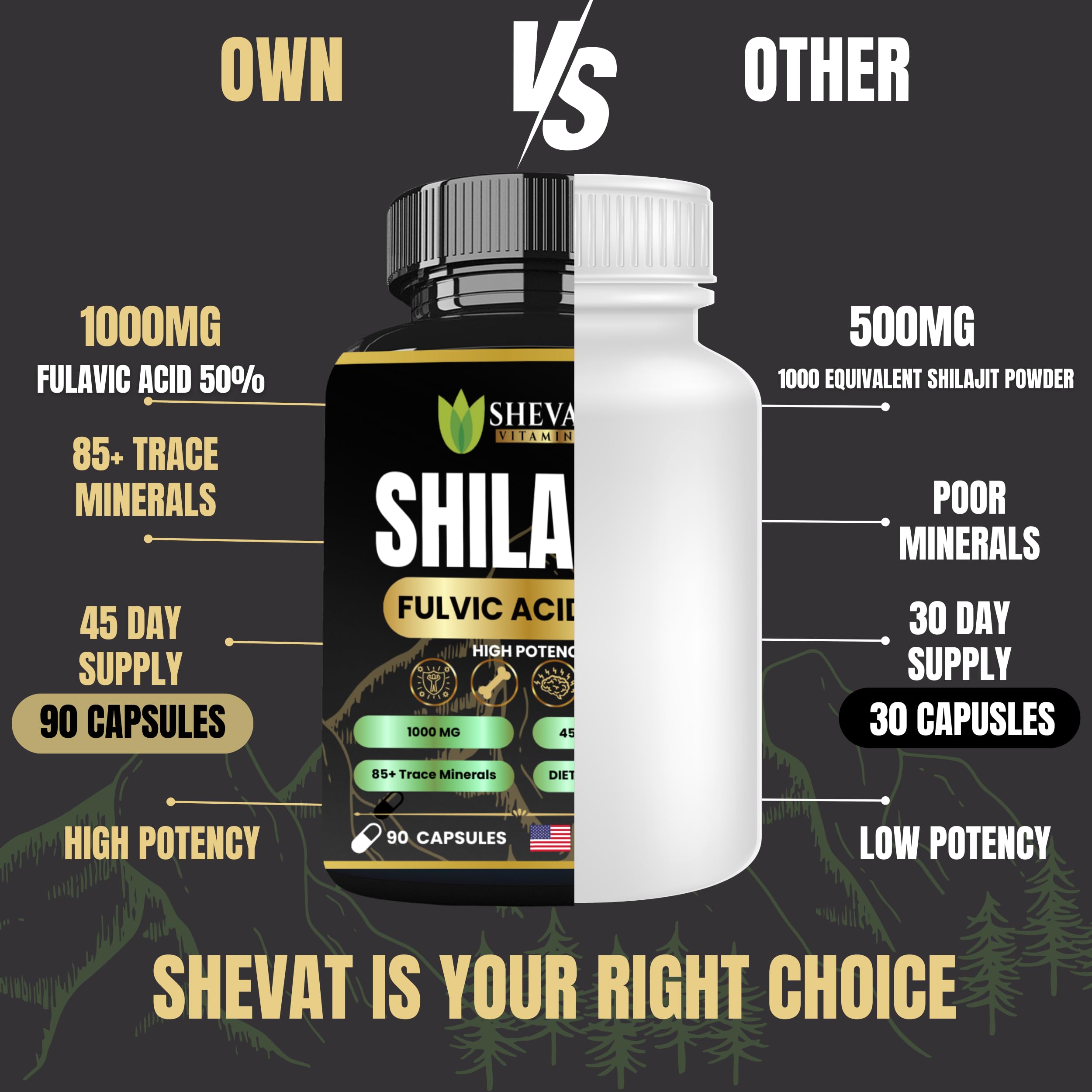 SHEVAT VITAMINS Shilajit mineral-rich formula shown against bottle backdrop