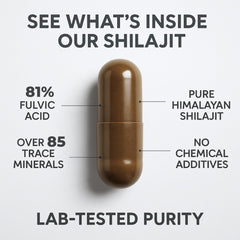 SHILAHEAL capsules support energy and endurance for active lifestyles.