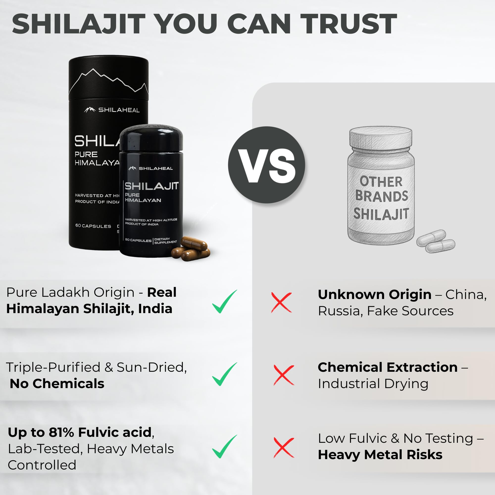 SHILAHEAL ingredients may support immune health and cognitive function.