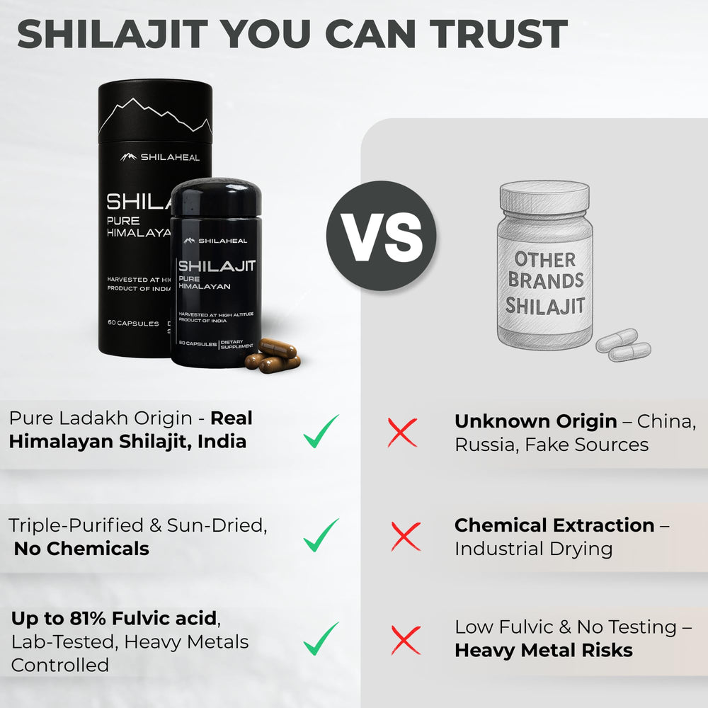 SHILAHEAL ingredients may support immune health and cognitive function.