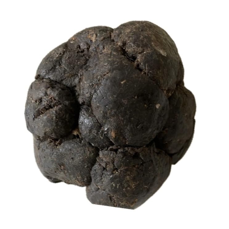 Shiva Organic Raw Propolis Block texture close-up highlights resin richness for natural crafts.