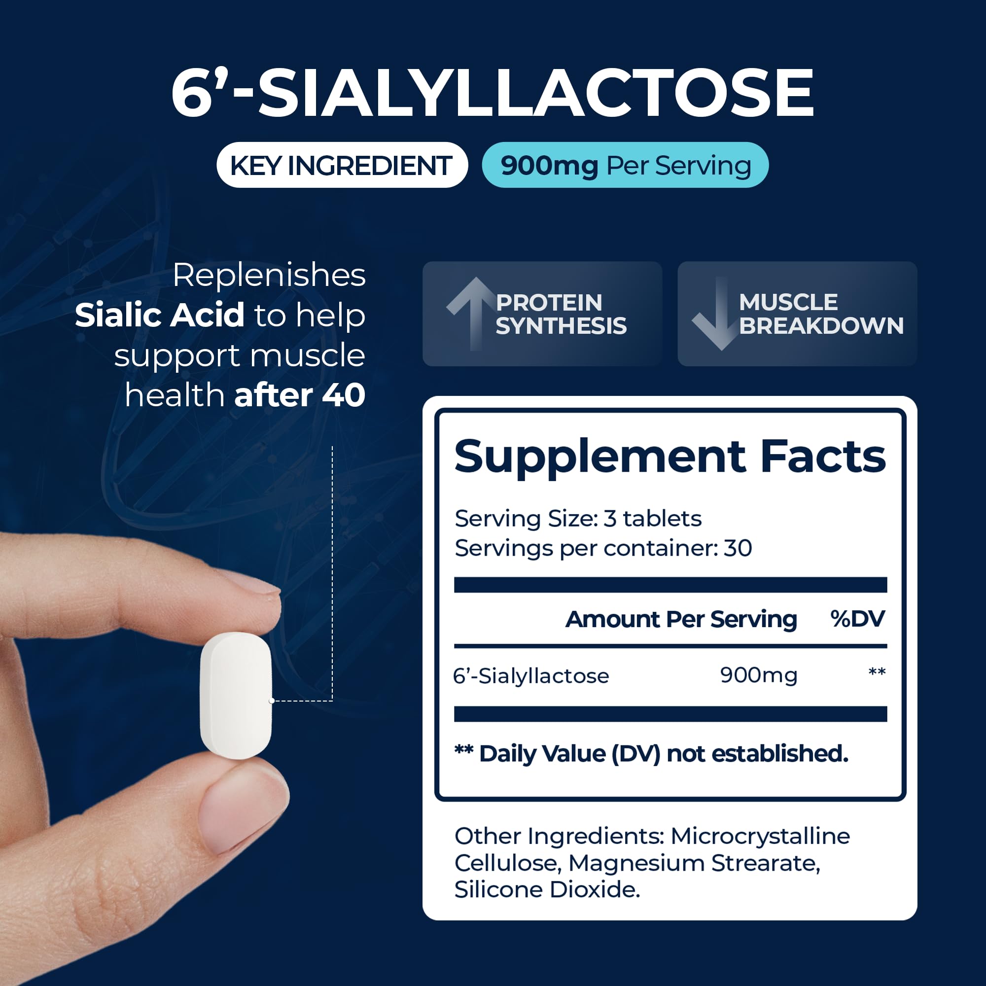 SIALLAC clinical trial data sheet visual referencing long-term muscle health research.