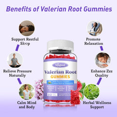 Two-pack display of Sijigood valerian gummies for nightly routines.