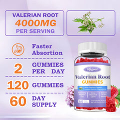 Vegan, non-GMO formula—gentle update to daily sleep support.