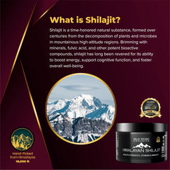 Silk Road Organics Shilajit resin close-up reveals natural texture and purity