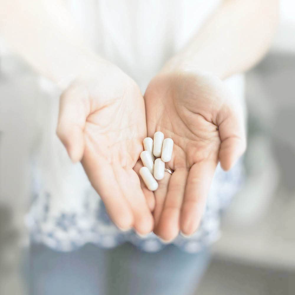 Probiotic blend from Silver Fern supporting digestion and immune resilience