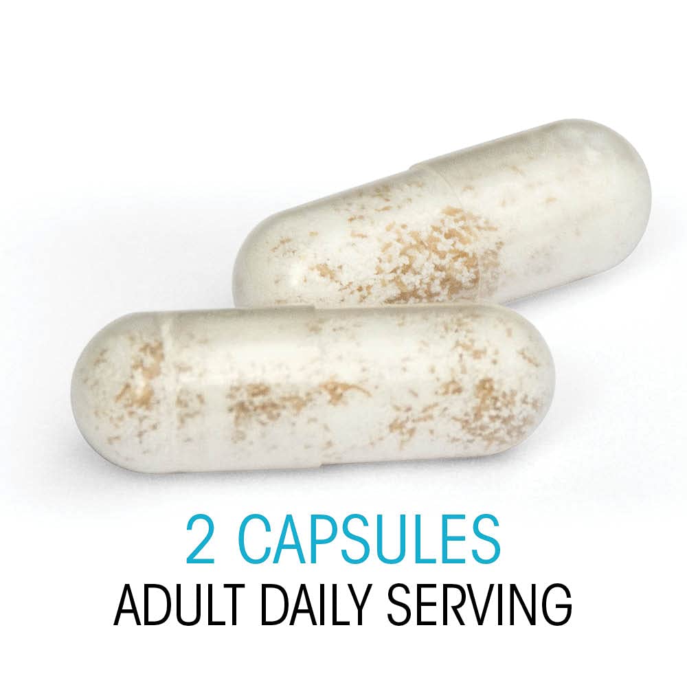 Graphic promoting Silver Fern probiotics for gut-friendly balance.