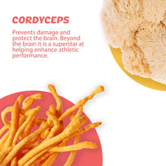 Cordyceps extract supports sustained energy for workouts or long workdays