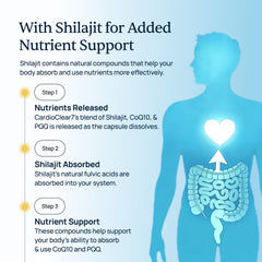 Simple Promise CardioClear7 capsules near Shilajit image indicating vitality and endurance.
