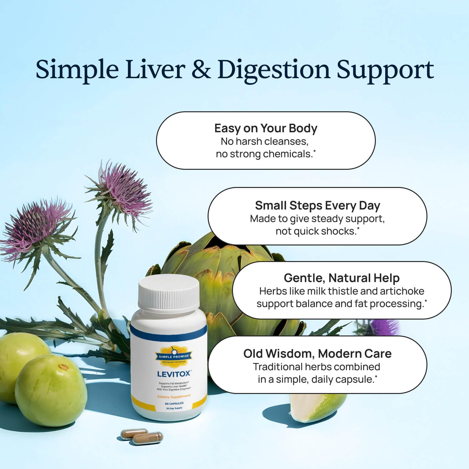 Simple Promise Levitox dandelion root close-up highlighting digestive comfort