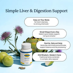 Simple Promise Levitox dandelion root close-up highlighting digestive comfort