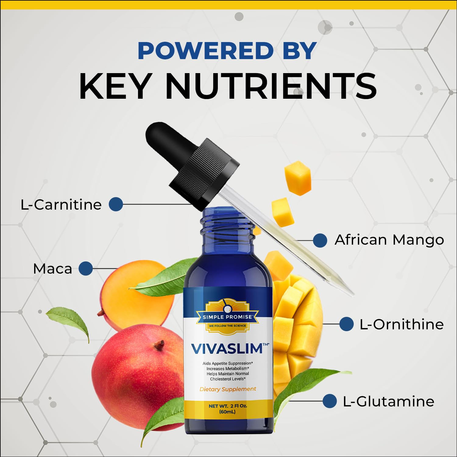 Close-up of VivaSlim ingredients panel with African Mango and Maca.