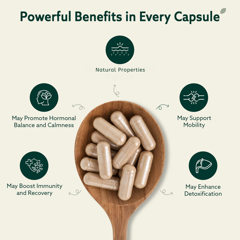 SIMPLEME burdock root capsule close-up for holistic daily wellness