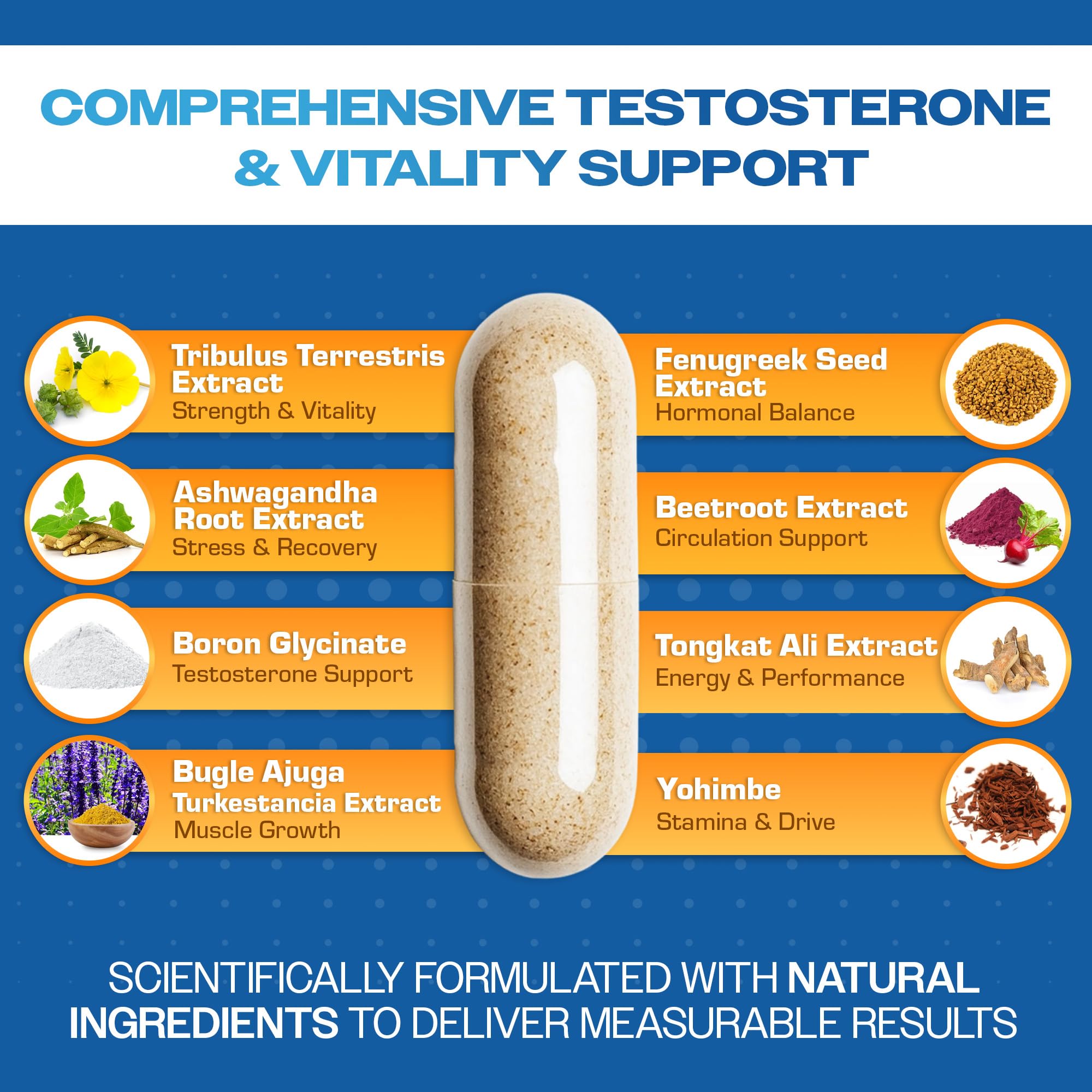 Simply Elevated Alpha-GT ingredient icons illustrating key nutrients for recovery